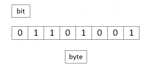 disegno con la scritta bit in alto a sinistra, 8 caselle che contengono 0 o 1 e la scritta byte in basso al centro